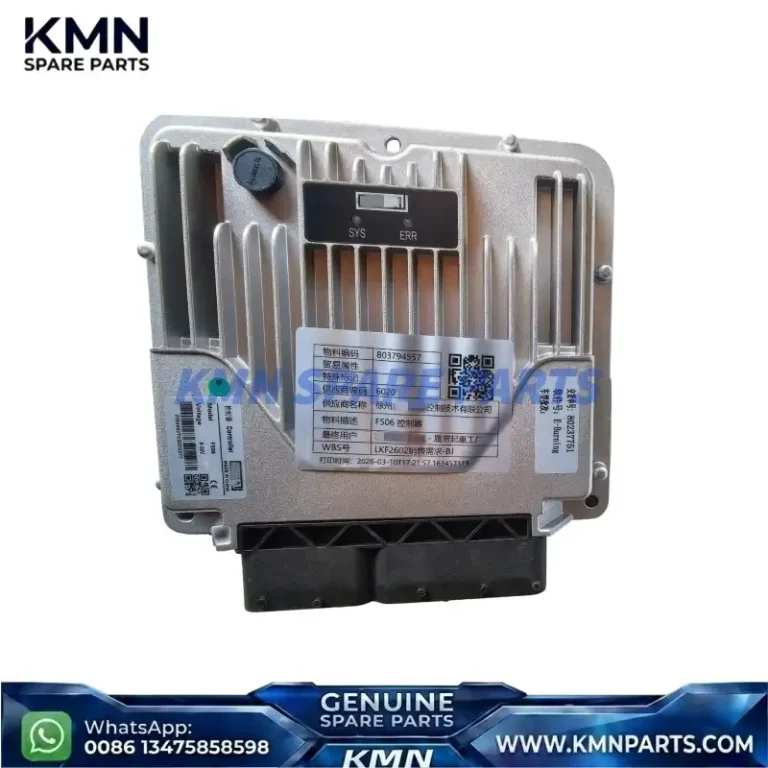 XCMG 803794557 Controller for XCMG XGC85K XGC100-2 Crawler Crane